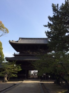 大樹寺